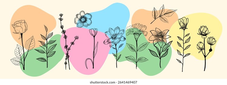 Set of Hand Drawn Floral Line Art Set with Colorful Abstract Background.