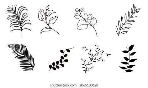 set of hand drawn floral vector with leaves and branches,Floral sketch collection. Decorative elements for design