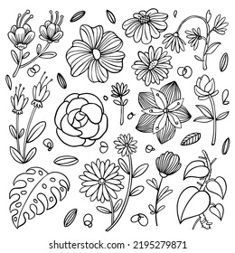 Conjunto de vector floral dibujado a mano con hojas y ramas,Colección de boceto floral. Elementos decorativos para el diseño. Ilustración del vector