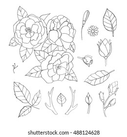 Set of hand drawn floral vintage elements for decoration