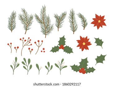 Set of hand drawn floral winter elements isolated on white background. Rowan berries, poinsettia, spruce branches. Collection of Christmas botanical elements for winter decorative design