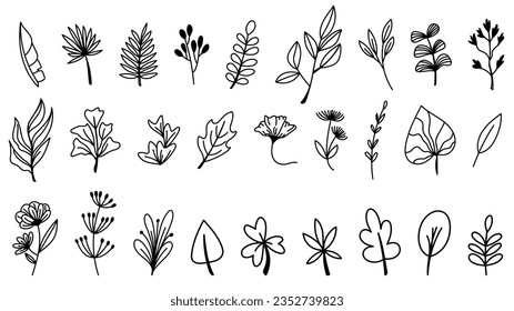 Set of hand drawn flower botanical elements vector , Vector illustration EPS 10