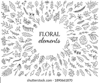 Set of hand drawn flower elements. Vintage floral collectoin. Branches, leaves, herbs, foliage and other botanical elements. Perfect for create greeting cards, invitations, , quotes, Wedding Frames 