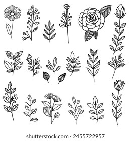 set of hand drawn flower elements. Botanical collections. Simple sketch wedding design element black contour. 