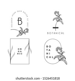 set of hand drawn flower leaeves botanical logo in vector