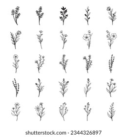 Set of hand drawn flower and leaves vector