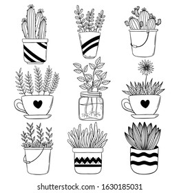 Conjunto de flor dibujada a mano con maceta. Vector de la flor casera de primavera para la decoración
