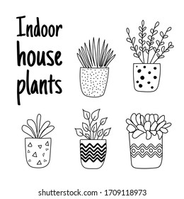 Conjunto de macetas de flores dibujadas a mano con cita: Plantas interiores. - vector