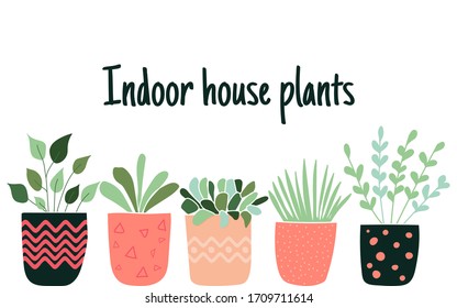 Set of hand drawn flower pots with quote: Indoor house plants. - vector