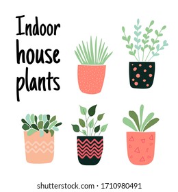 Set of hand drawn flower pots with quote: Indoor house plants. - vector