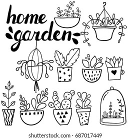 Set of hand drawn flower pots and hand written text. Sketch style, doodle plants. Botany doodle illustrations of gardening. Urban jungle. Spring time. Natural trendy home decor. Vector. Isolated