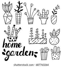 Set of hand drawn flower pots and hand written text. Sketch style, doodle plants. Botany doodle illustrations of gardening. Urban jungle. Spring time. Natural trendy home decor. Vector. Isolated