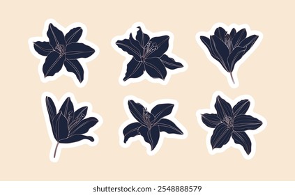 Conjunto de adesivos de flor desenhados à mão. Ilustração de vetor floral