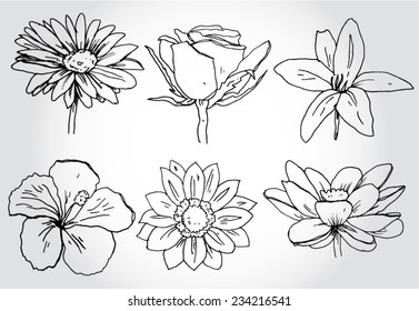 Set of Hand Drawn Flowers 