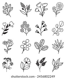 Set of Hand Drawn Flowers
