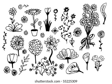 set of hand drawn flowers