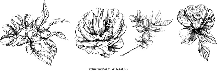 Set of hand drawn flowers. Black and white floral collection illustration.
