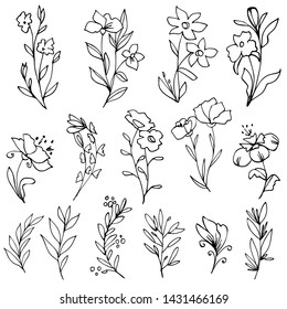 Set of hand drawn flowers and botanical elements. Black and white floral drawings. Vector illustration.