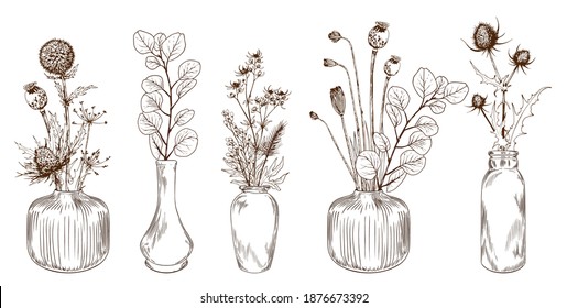 Set of hand drawn flowers in bottles. Dried floral bouquets. Vector illustration isolated on white background.