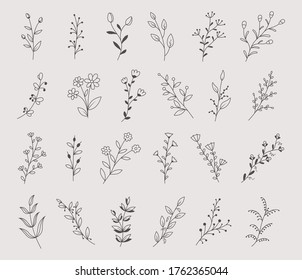 Set of hand drawn flowers, branches and leaves, vector illustration