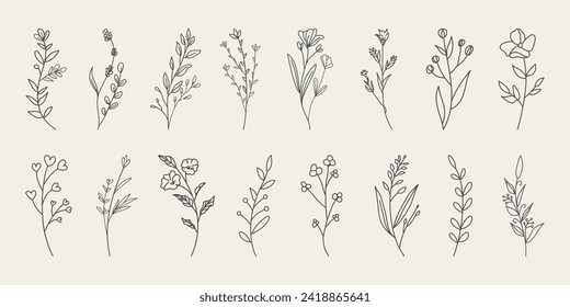 Flores, ramas y hojas dibujadas a mano. Flores minimalistas de estilo Doodle con elegantes hojas vectoriales.