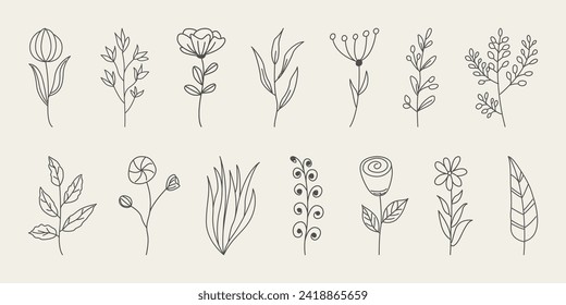 Flores, ramas y hojas dibujadas a mano. Flores minimalistas de estilo Doodle con elegantes hojas vectoriales.