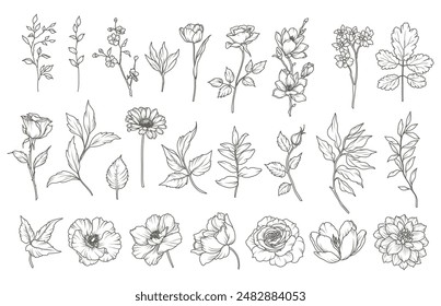 Set of hand drawn flowers, branches and leaves in line art style. Collection of sketches of botanical elements. Vector illustration for tattoo, wedding invitation, wallpaper, save the date card