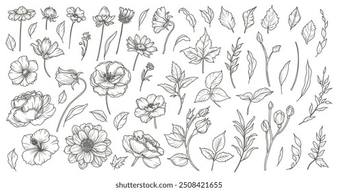 Conjunto de flores desenhadas à mão, ramos e folhas em estilo de arte de linha. Coleção de esboços de elementos botânicos. Ilustração vetorial para tatuagem, convite de casamento, papel de parede, salvar o cartão de data, logotipo