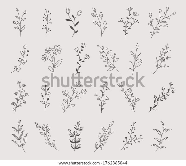 Set of hand drawn flowers, branches and\
leaves, vector\
illustration