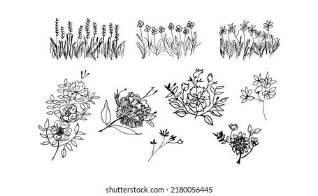 Set of Hand Drawn Flowers Collection. Black Silhouette of Flower, Grass, Herbs Isolated on White Background. Floral Sketch