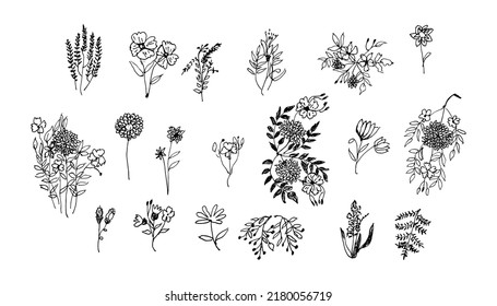 Set of Hand Drawn Flowers Collection. Black Silhouette of Flower or Herbs Isolated on White Background. Floral Sketch
