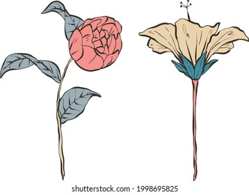 Set of Hand Drawn Flowers, Colorful Vector Illustrations with dark outline. Elegant images for prints, postcards, greeting cards, fabric and more.