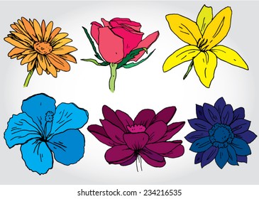 Set of Hand Drawn Flowers Colorful