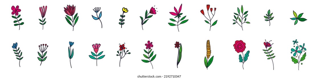Flores dibujadas a mano en estilo doodle. Imágenes estilizadas de flores para el diseño de la boda, tarjeta de saludo. Ilustración del vector