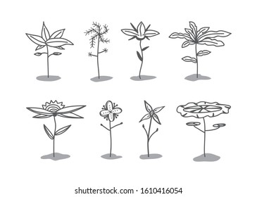 Set of Hand Drawn Flowers. Elegant and Minimalist Flower. Vector.