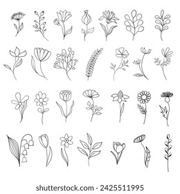 A set of hand drawn flowers and herbs. Flat linear plants on white background. Botanical design elements.
