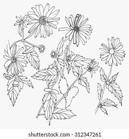  Set of hand drawn flowers isolated on white background. Hand drawn vector illustration.