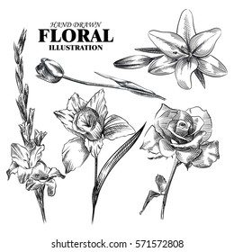 Set of hand drawn flowers isolated on white background. Tulip, lily, rose, narcissus, gladiolus sketches elements. Retro hand-drawn floral vector illustration.