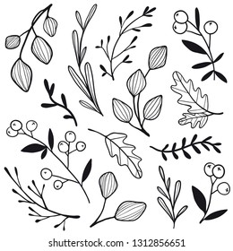 Set with hand drawn flowers, leaves, berries. Floral graphic design.  Hand drawn vector botany collection. Sketch style monochrome plants for seasonal decor