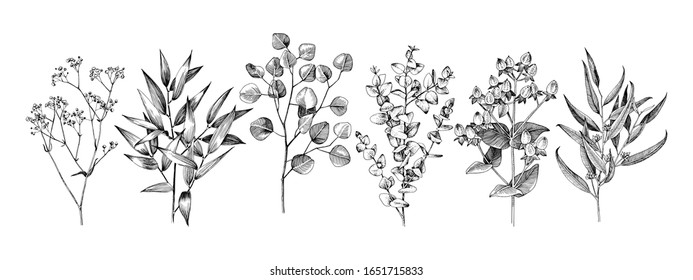 Set Hand Drawn Flowers Leaves Branches Stock Vector Royalty Free