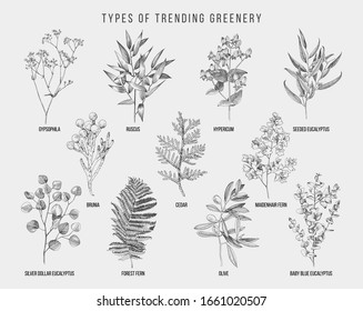 Set of hand drawn flowers, leaves and branches. Decorative greenery. Sketched vector illustration. Great for wedding invitation, textile, summer decoration designs