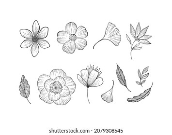 Set of hand drawn flowers and leaves. Vector plants and herbs isolated. Decorative flowers and branches black color on white background