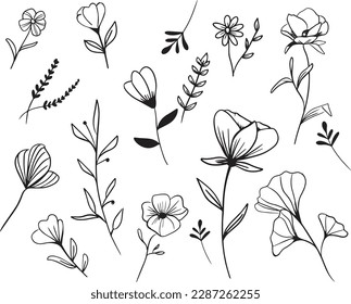 Set of hand drawn flowers and leaves