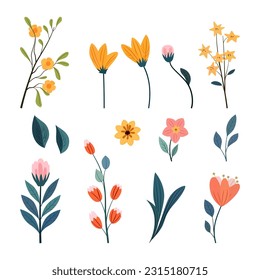 set of hand drawn flowers and leaves vector illustration in flat style