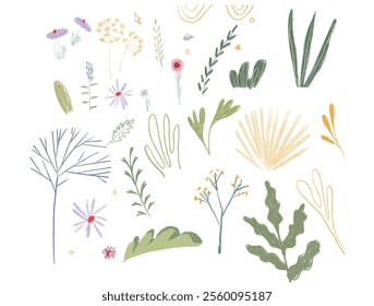 Set of Hand Drawn Flowers Leaves Botanical Elements. Nature Inspired Design Soft Colors Pastel Tones. Isolated Plants Textured Brushes Fresh Look. Vector Flat Illustration. 