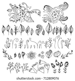 Set of  hand drawn flowers and leaves. Decoration elements for design invitation, wedding cards, valentines day, greeting cards.