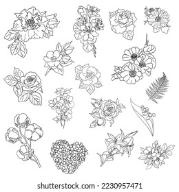 Satz handgezeichneter Blumen. Linienkunst der Blumen. Cartoon-Skizze auf weißem Hintergrund