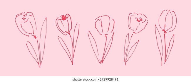 Conjunto de flores desenhadas à mão. Tulipas de Line Art. Impressão botânica elegante, elemento de design.