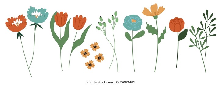 Set of hand drawn flowers and plants. Isolated on a white background. Flat vector illustration, eps10