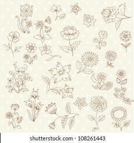 Set of Hand Drawn Flowers - for scrapbook and design in vector